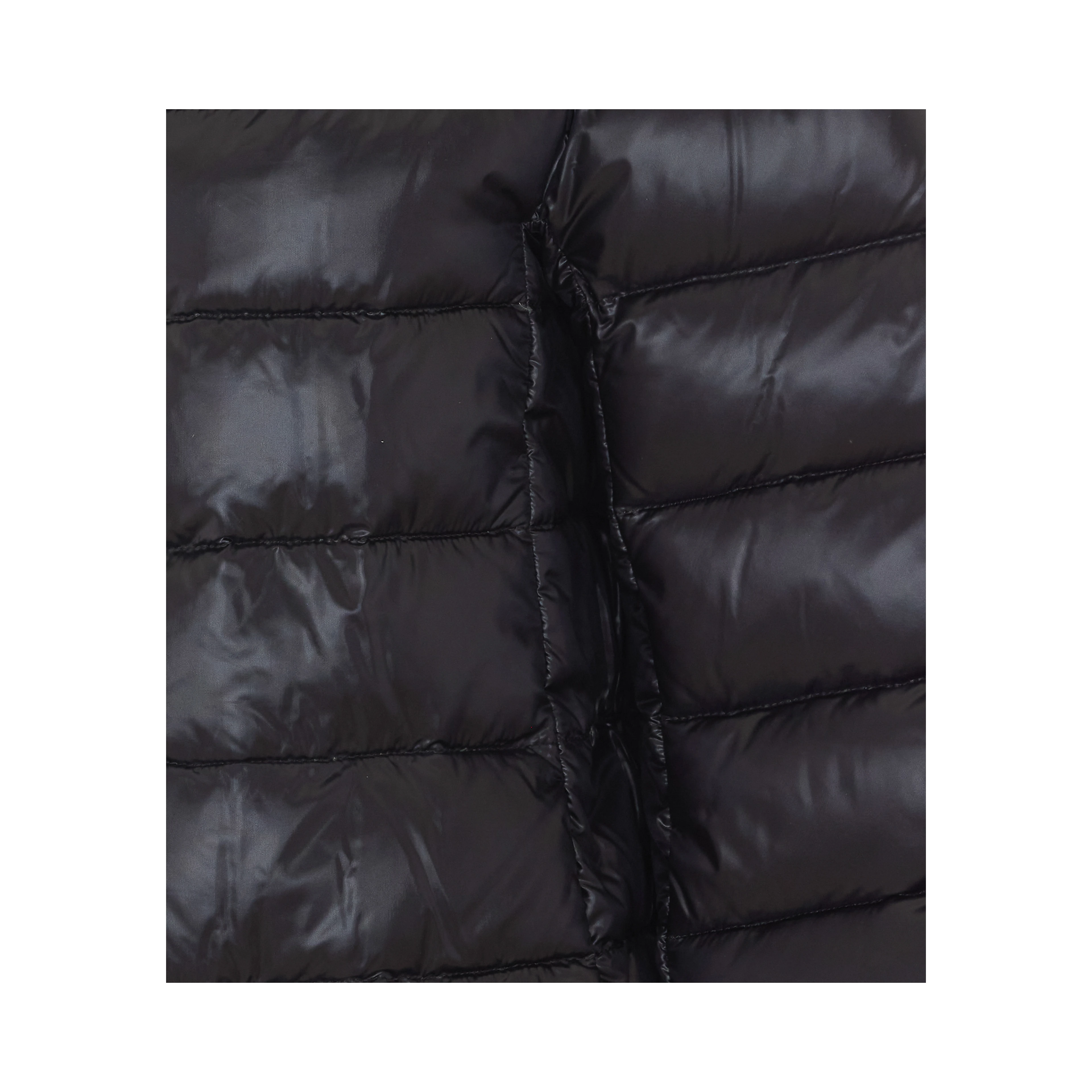 Herno Coats Black