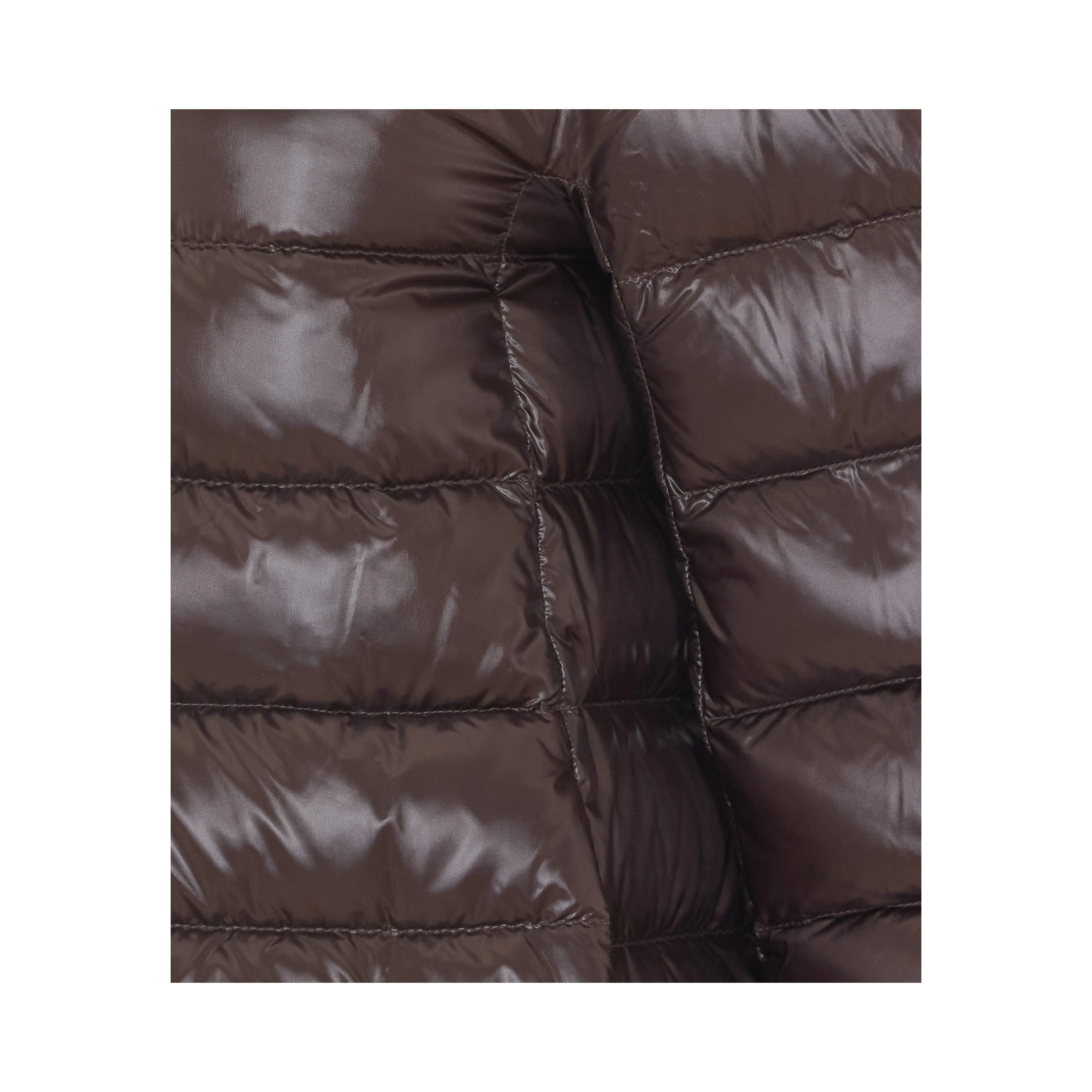 Herno Coats
