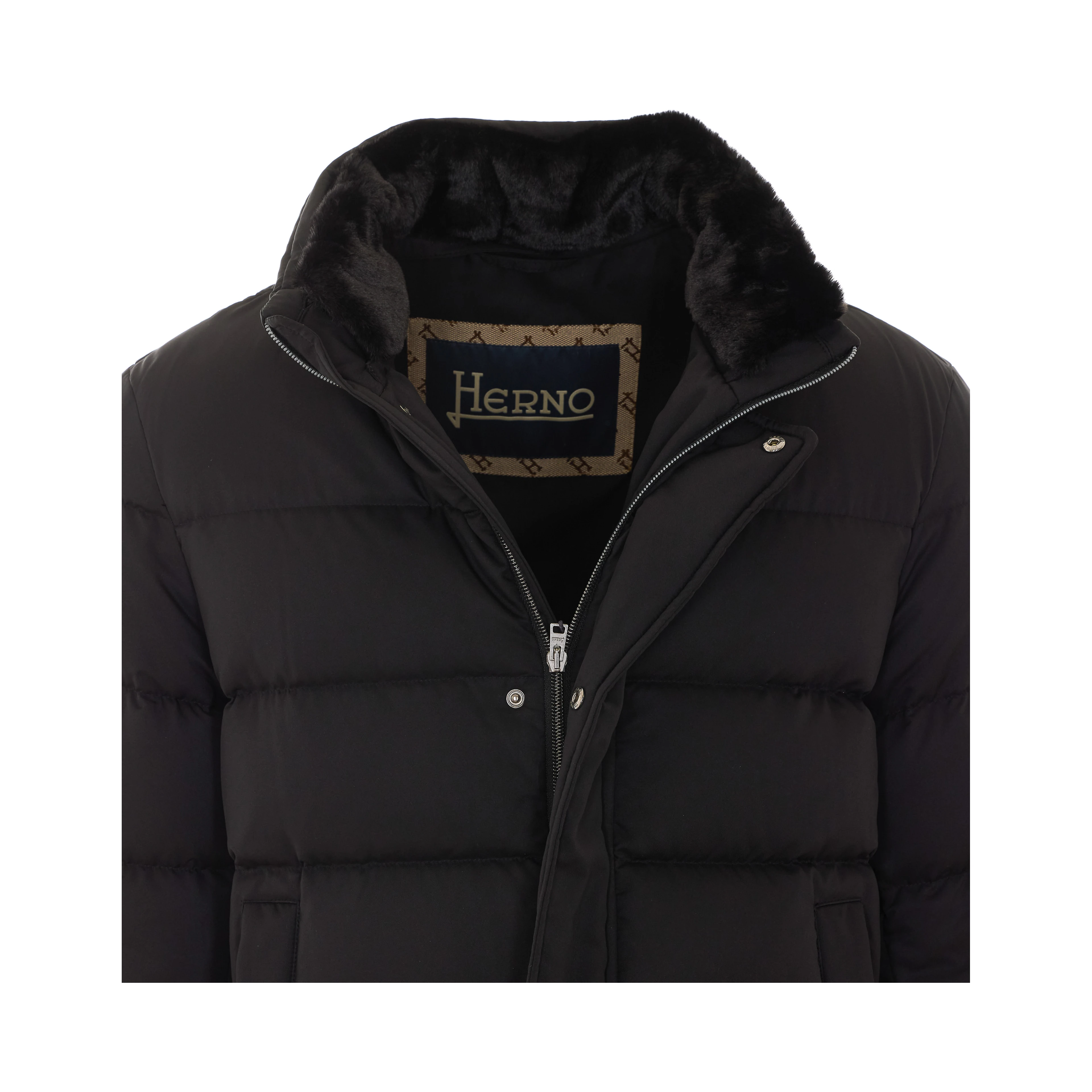 Herno Coats Black