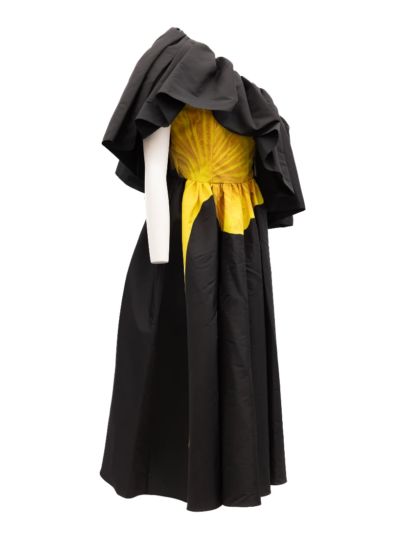Black Women Acetate Dress