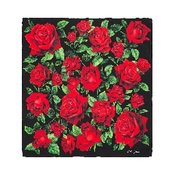 Printed silk twill scarf