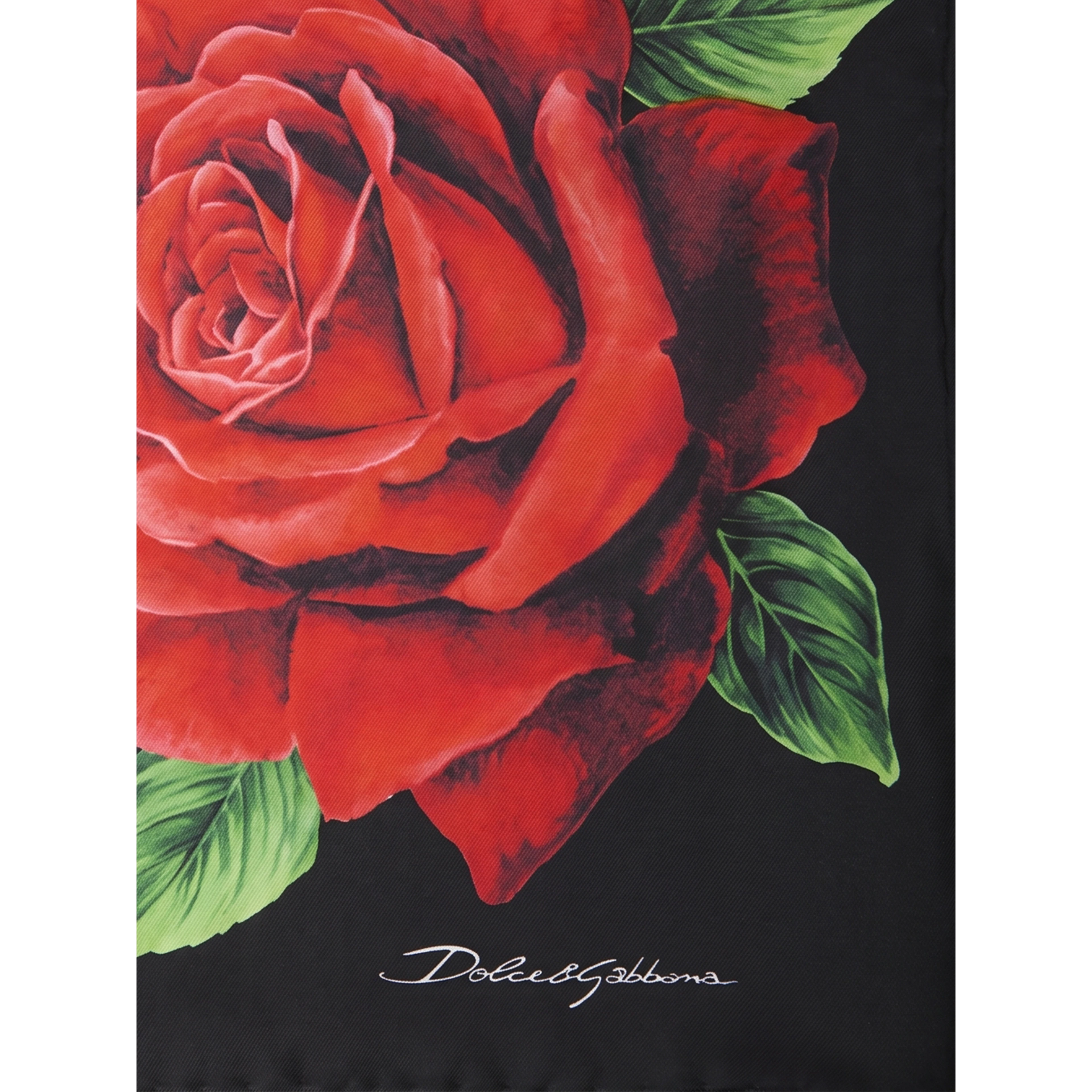 Printed silk twill scarf