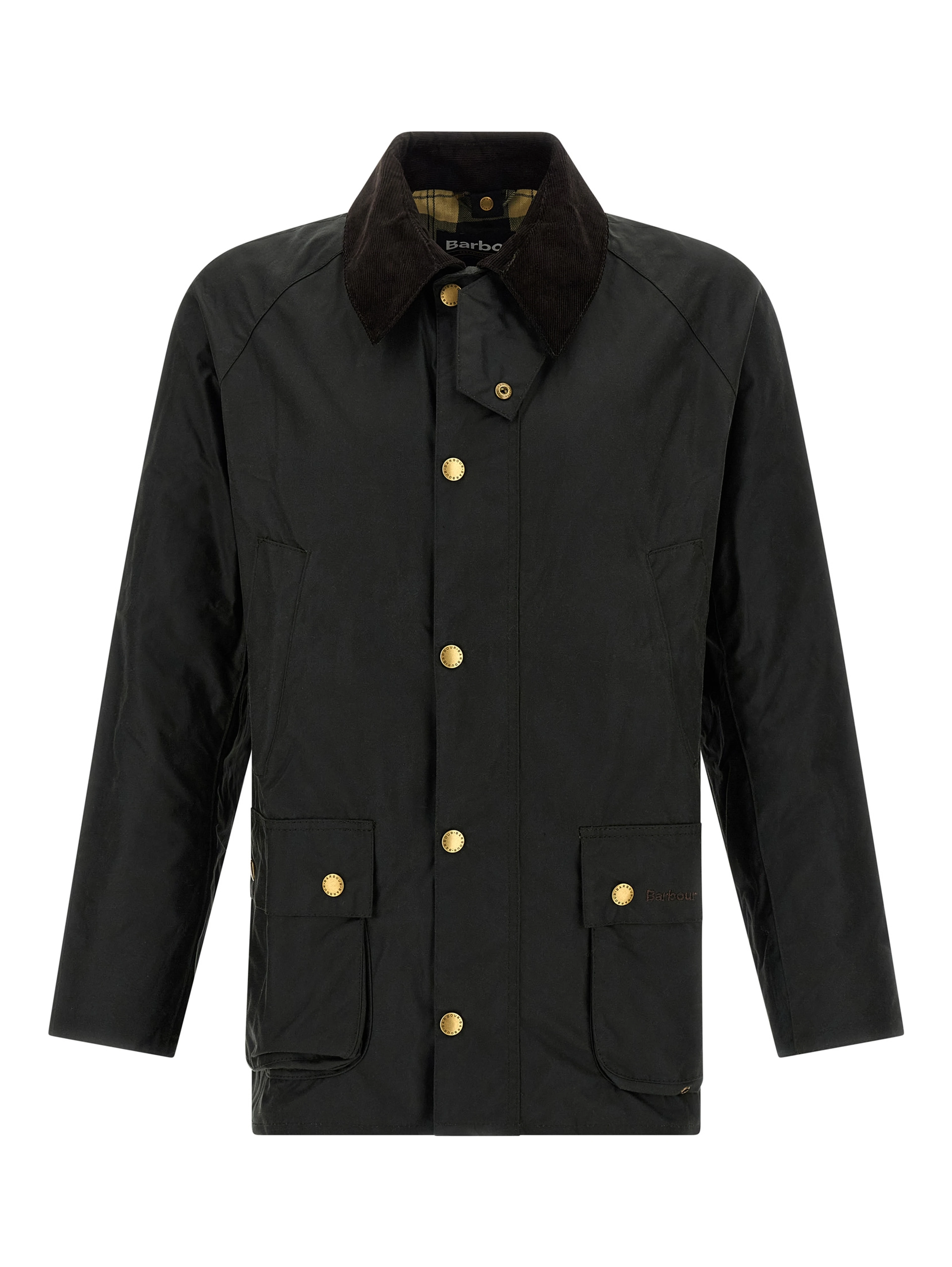 Bicolor Cotton Shell Jacket