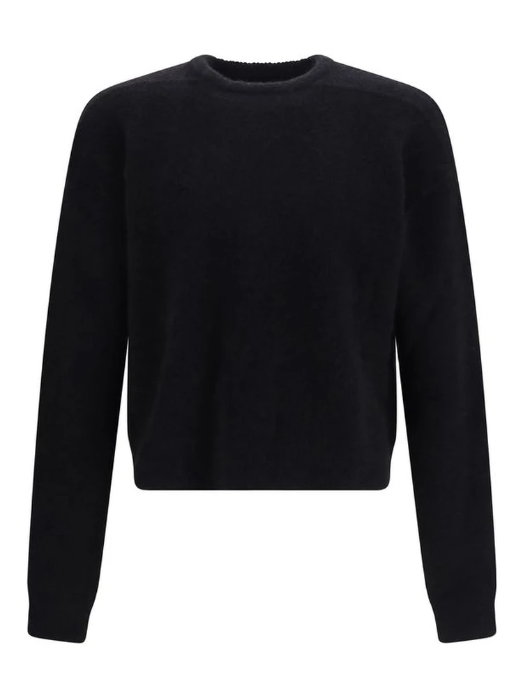 Black Alpaca Vicugna Pacos Sweatshirt