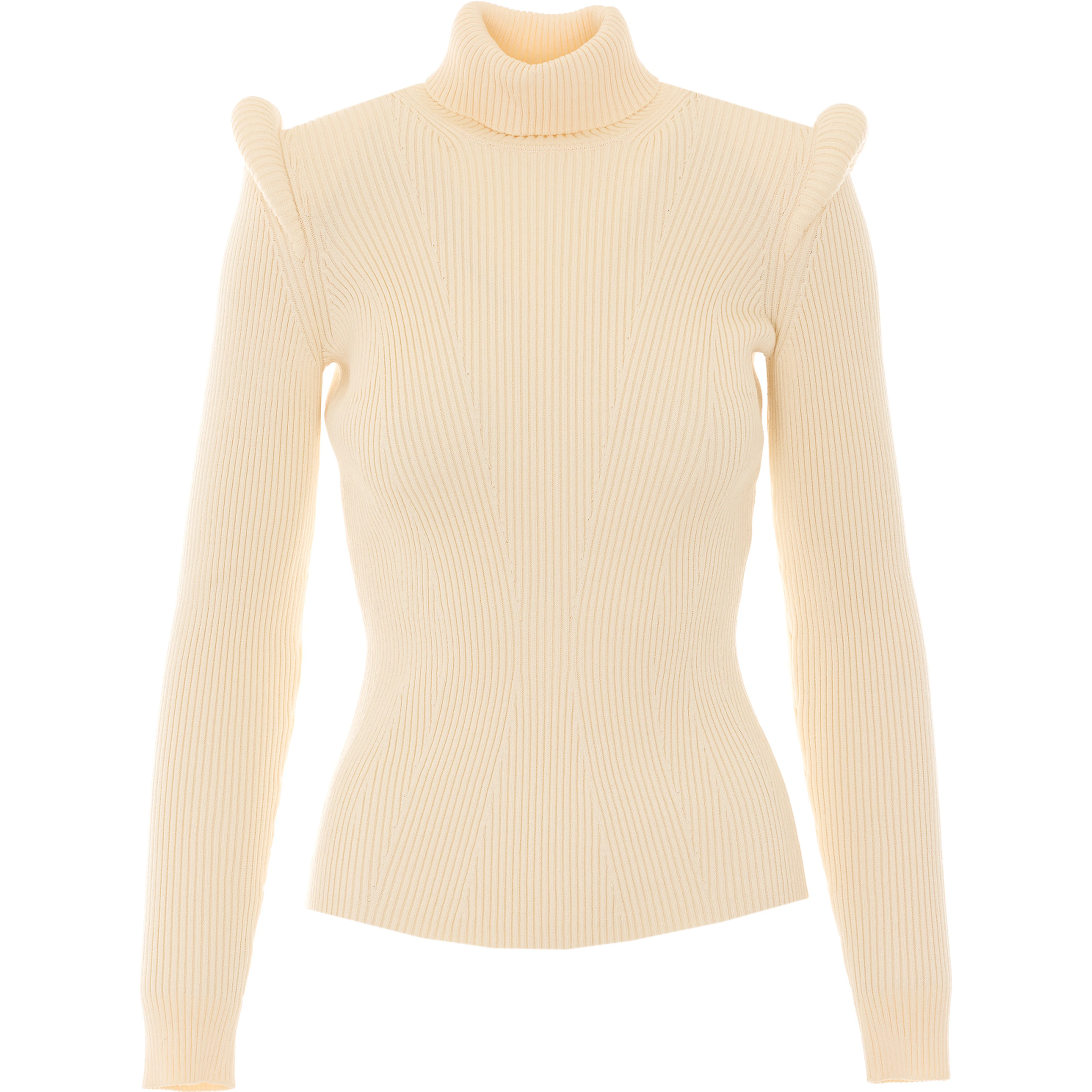 Elisabetta Franchi Sweaters
