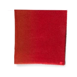 FALIERO SARTI Scarfs