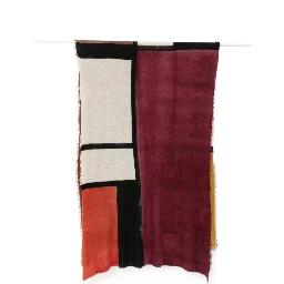 FALIERO SARTI Scarfs