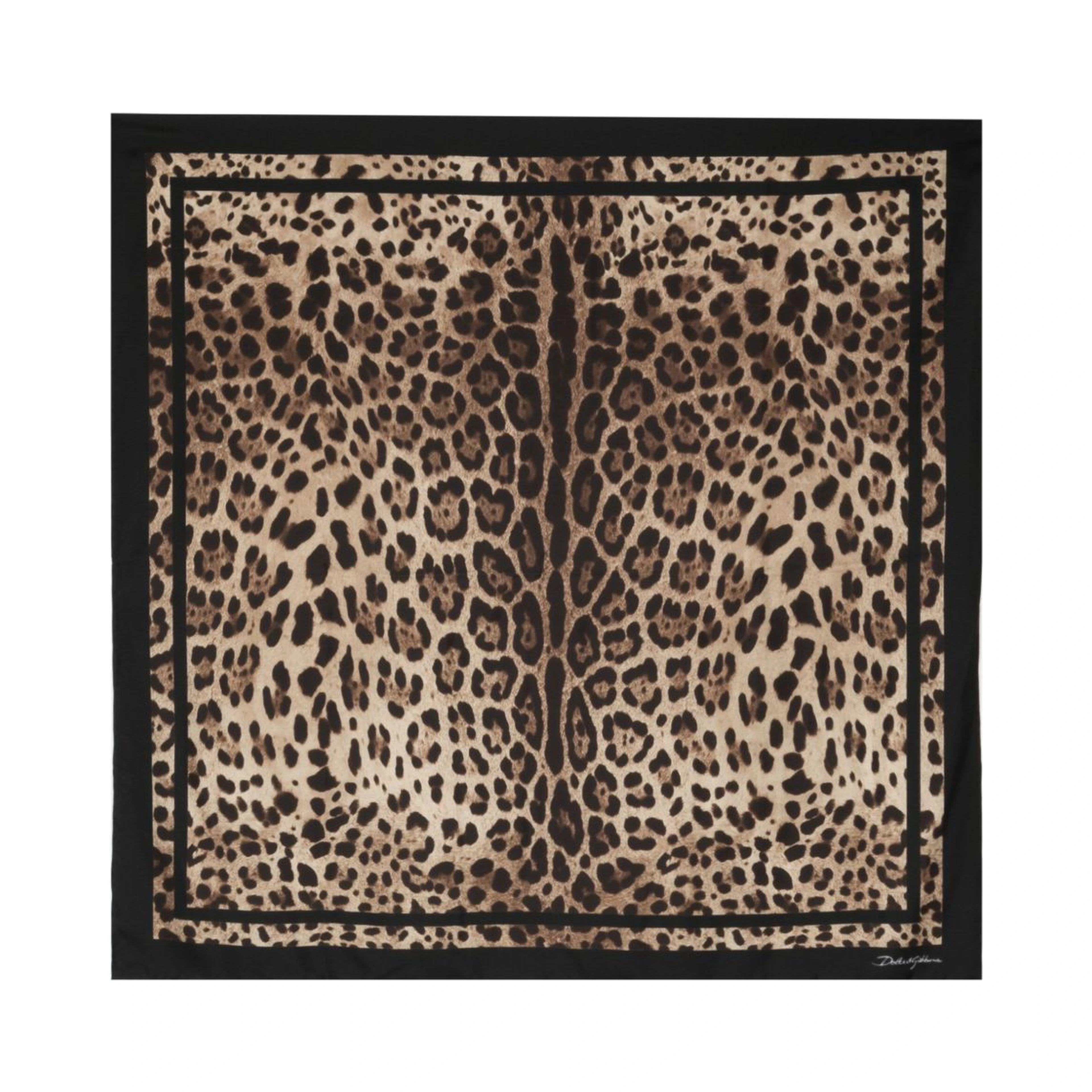 Dolce & Gabbana Scarfs