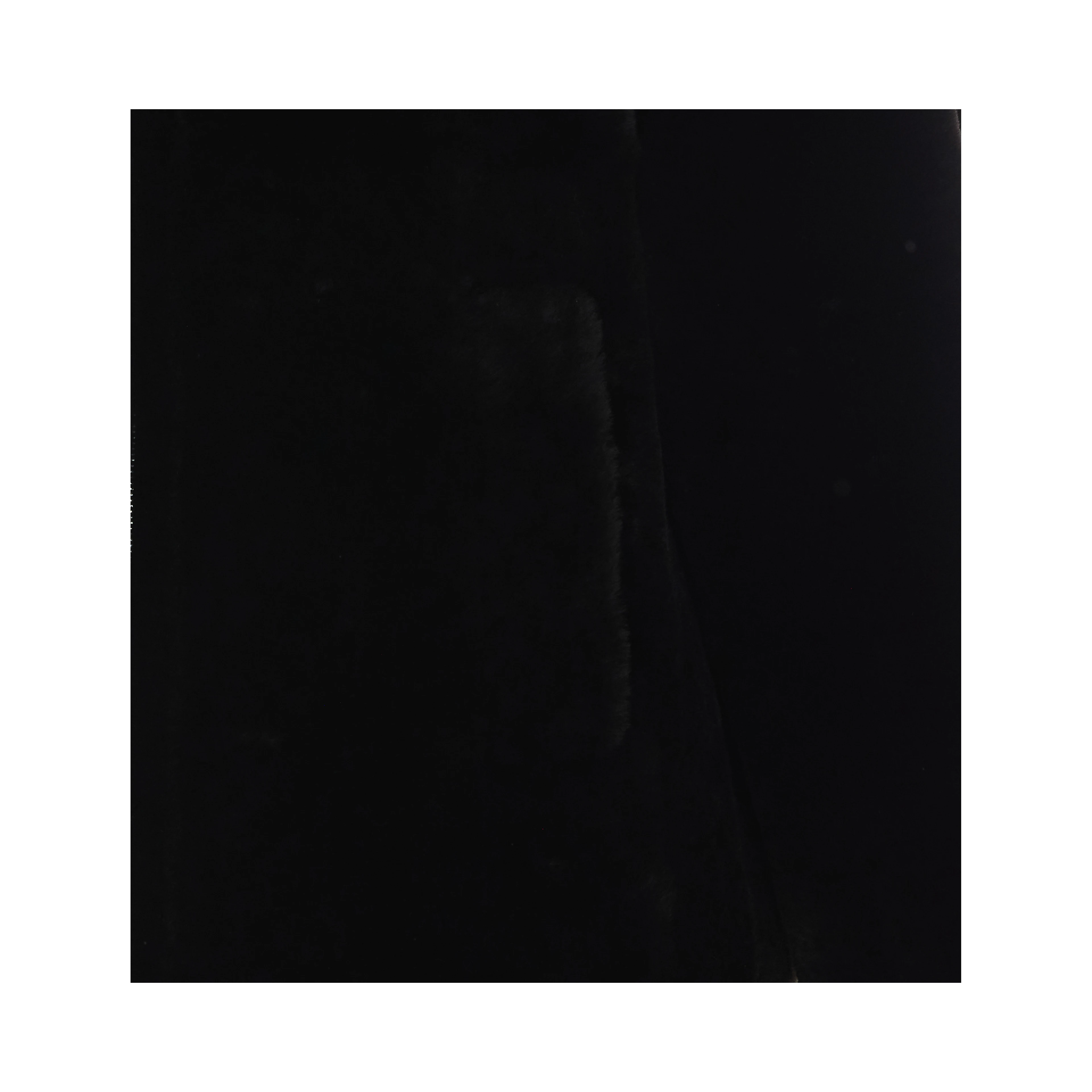 Blancha Jackets Black