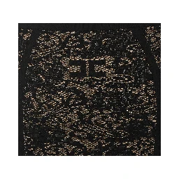 Elisabetta Franchi Skirts Black
