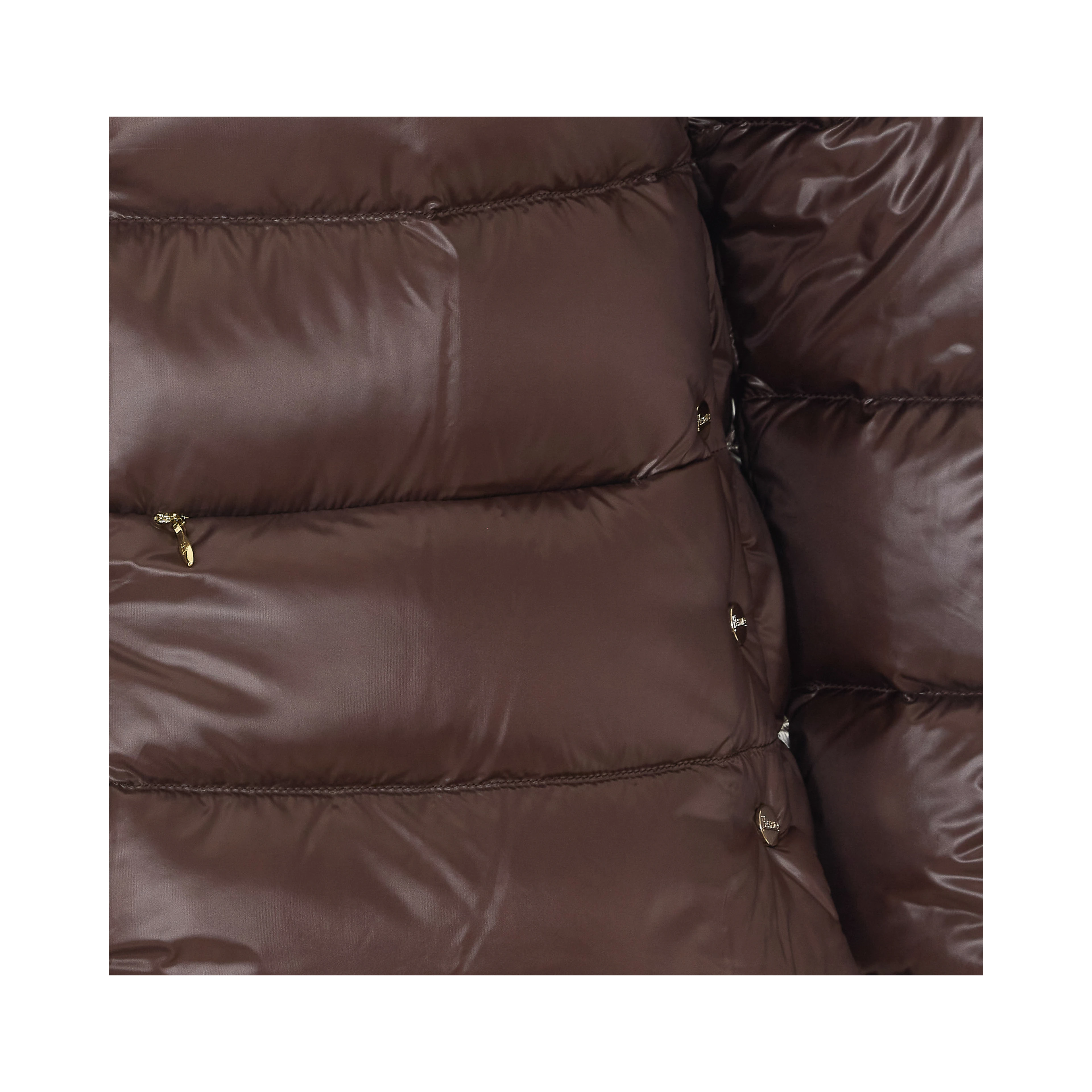 Herno Jackets