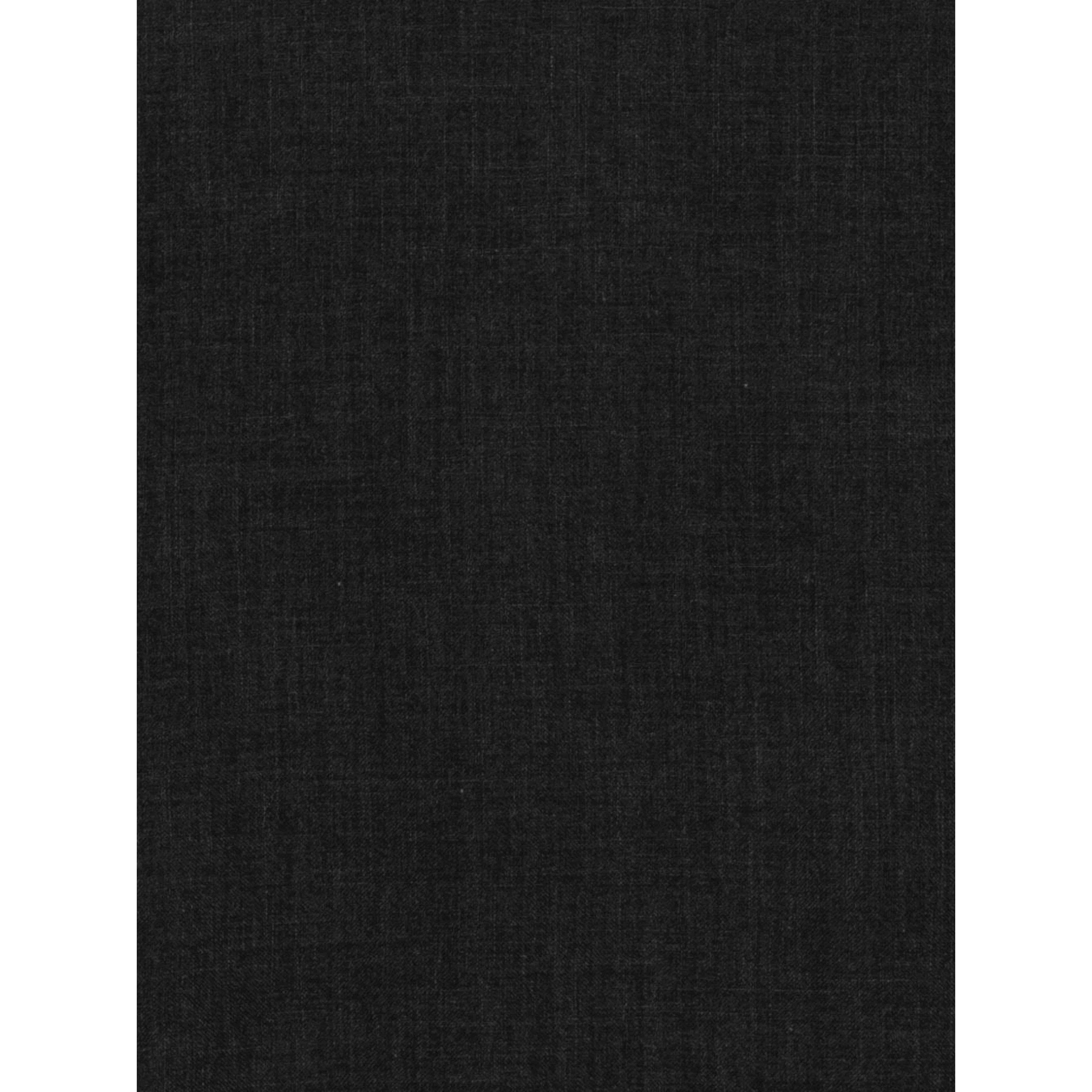 FALIERO SARTI Scarfs
