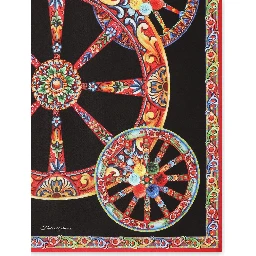 Dolce & Gabbana Scarfs