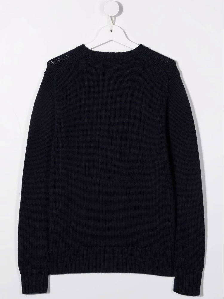 POLO RALPH LAUREN Sweaters alternative