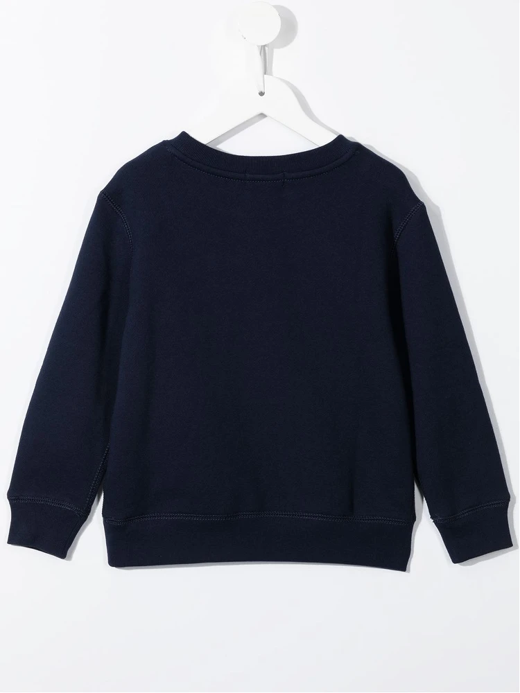 POLO RALPH LAUREN Sweaters alternative