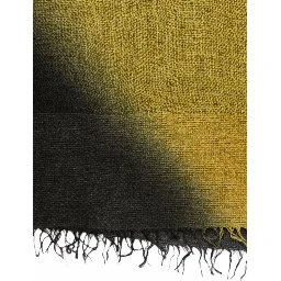 FALIERO SARTI Scarfs