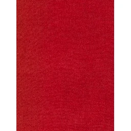 FALIERO SARTI Scarfs