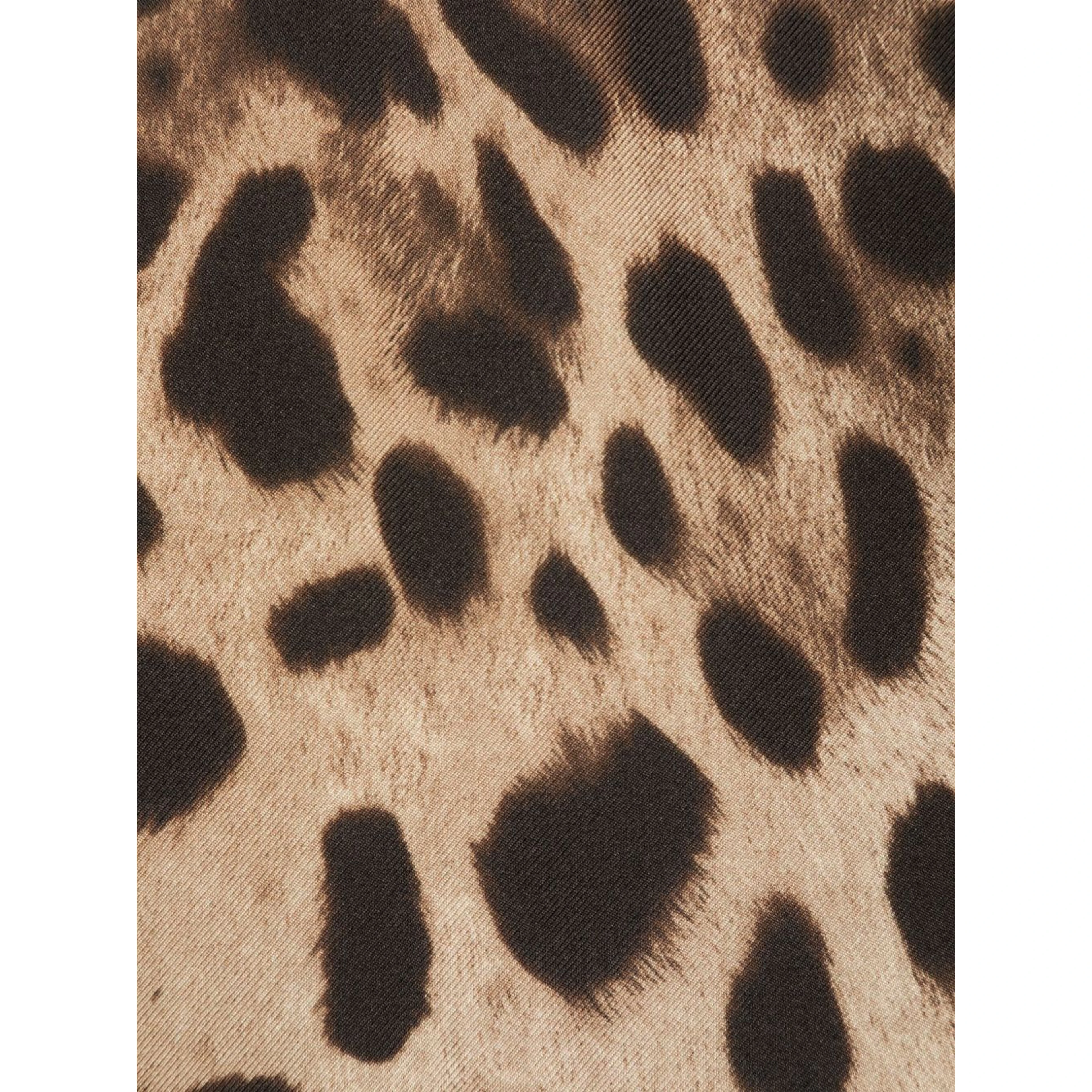 Dolce & Gabbana Scarfs