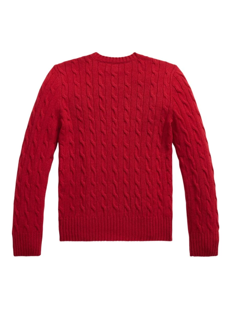 POLO RALPH LAUREN Sweaters alternative