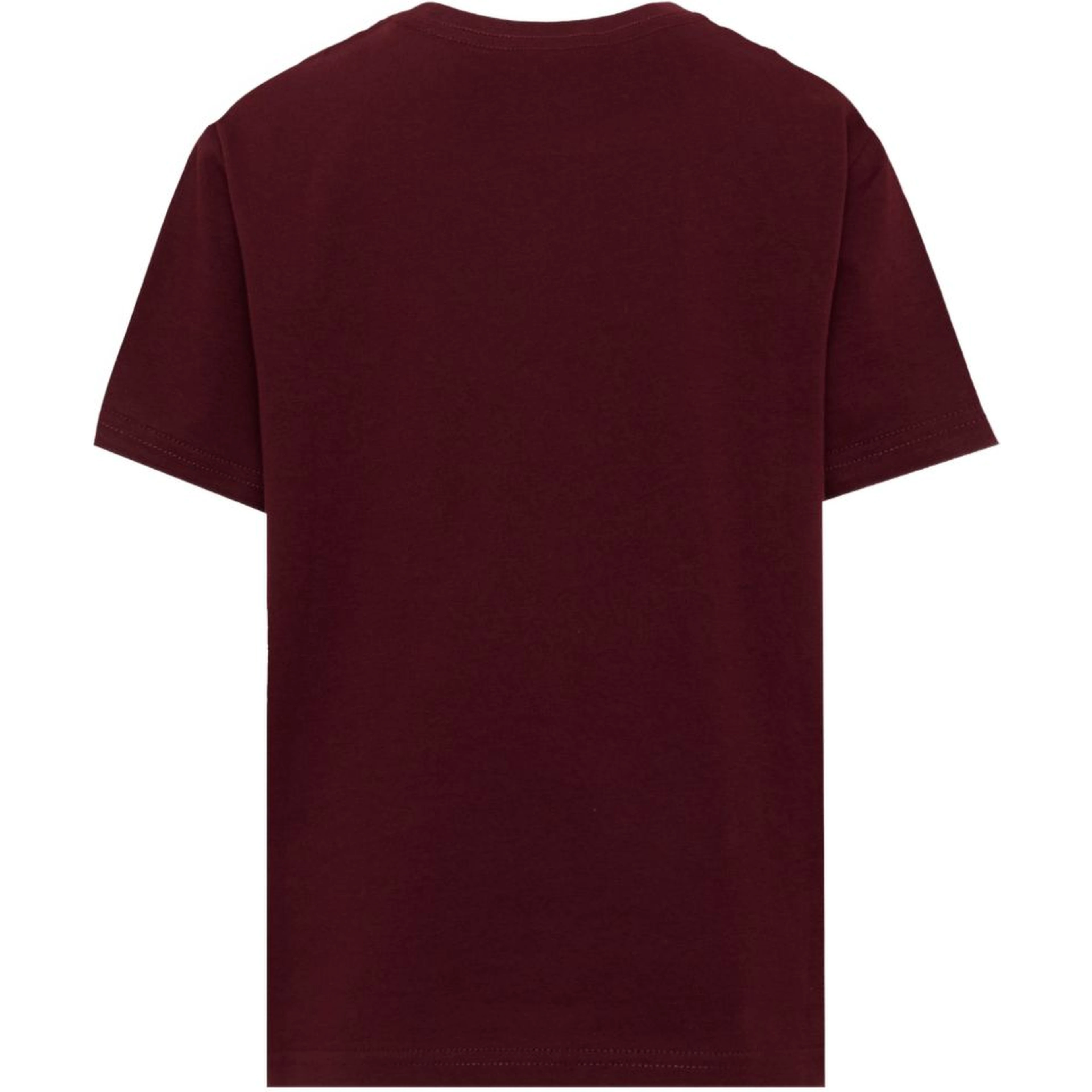 POLO RALPH LAUREN T-shirts and Polos