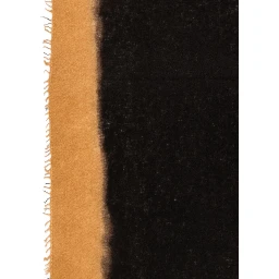 FALIERO SARTI Scarfs
