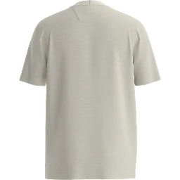 BOSS T-shirts and Polos
