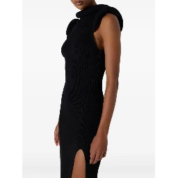 Elisabetta Franchi Dresses