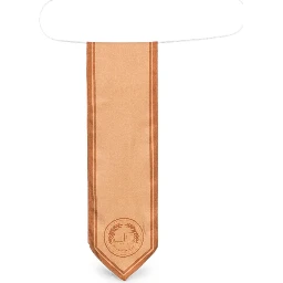 ELISABETTA FRANCHI Scarfs