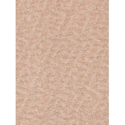 Liu Jo Scarfs