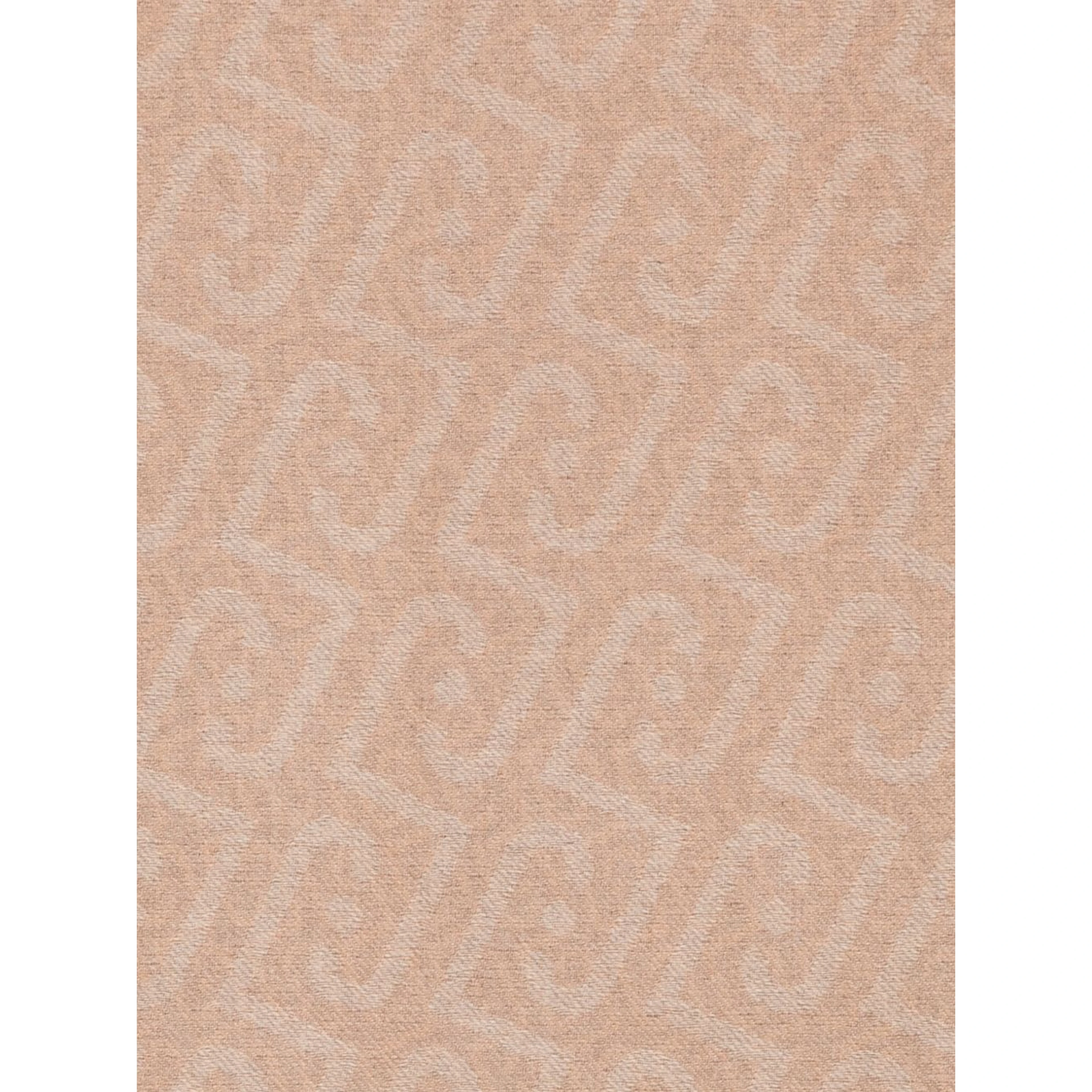 Liu Jo Scarfs