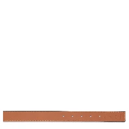 LOEWE Belts Black/brown