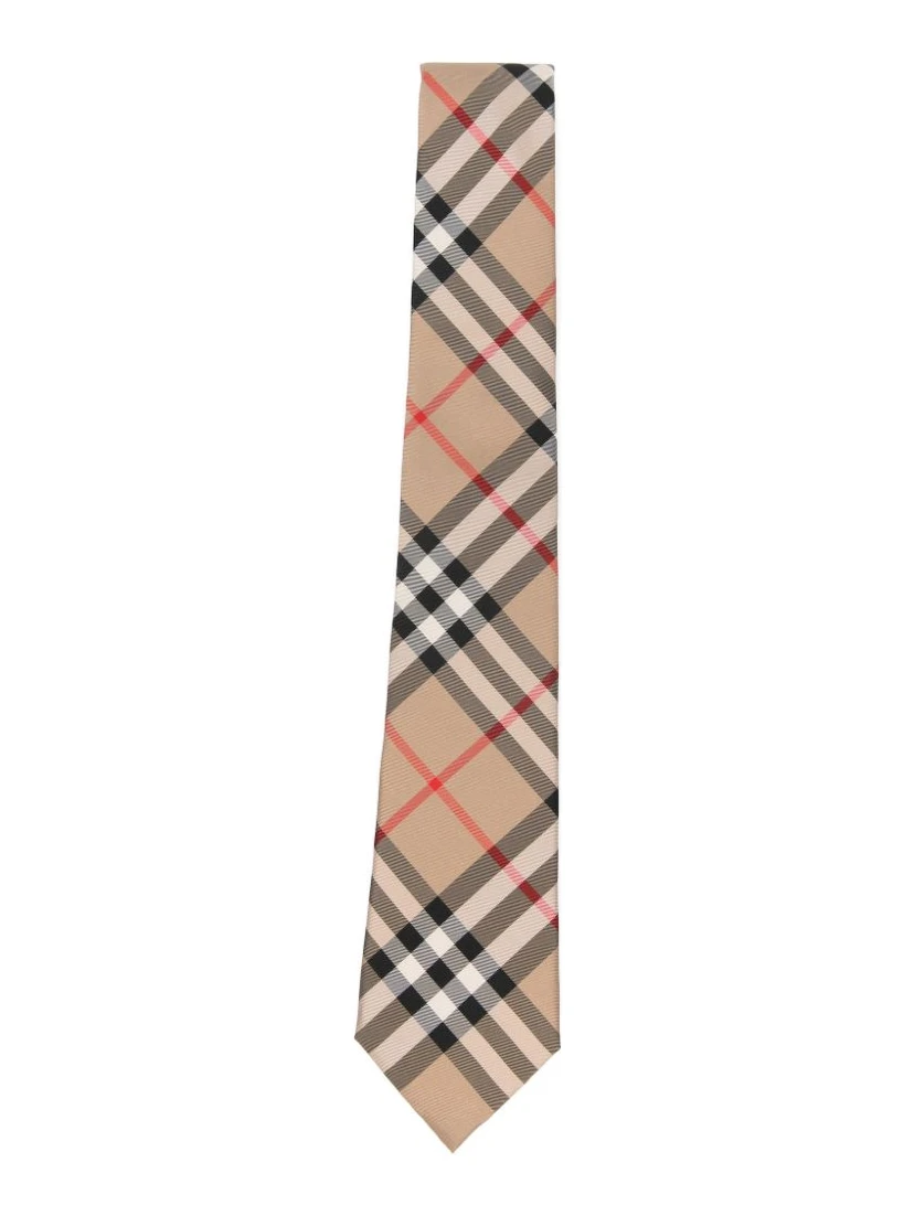 Burberry Ties