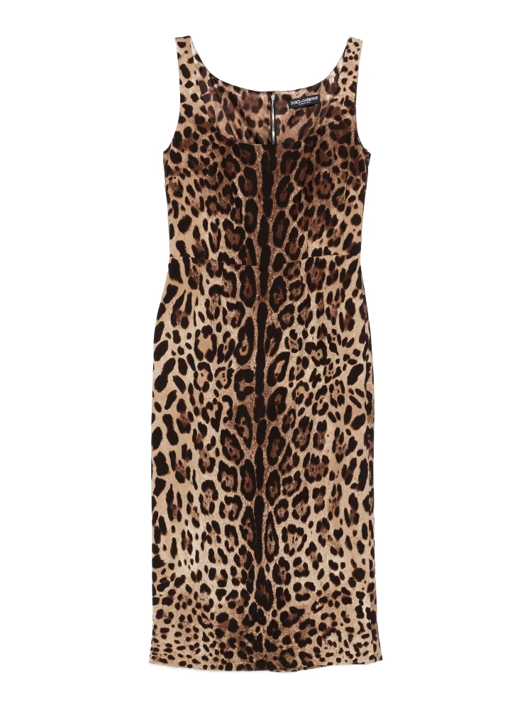 Dolce & Gabbana Dresses