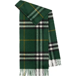 Burberry Scarfs
