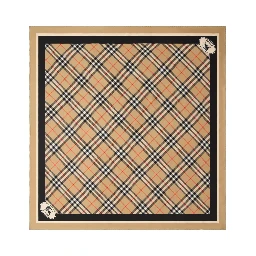 Burberry Scarfs