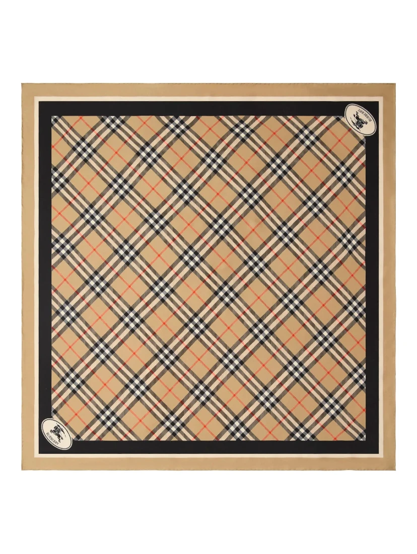 Burberry Scarfs