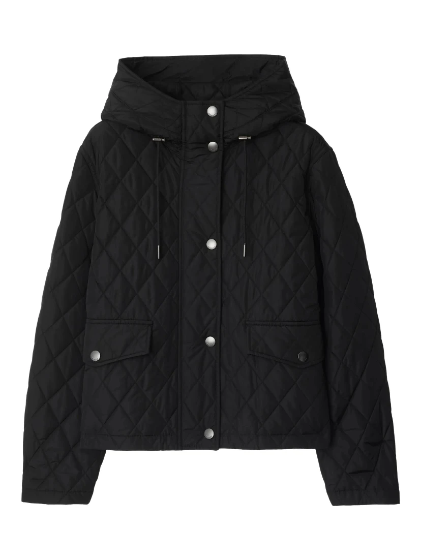 Burberry Jackets Black