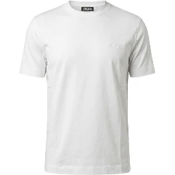 ZEGNA T-shirts and Polos