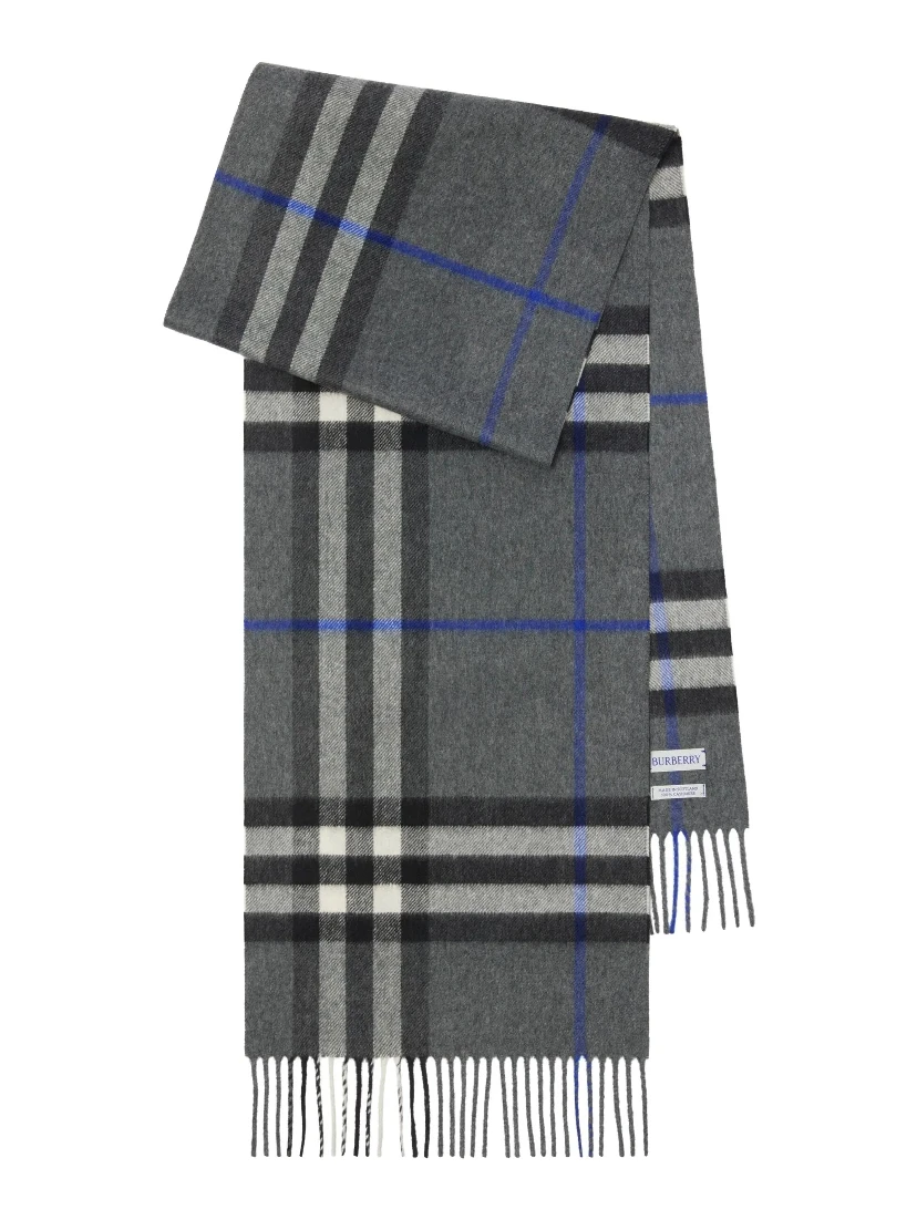 Burberry Scarfs