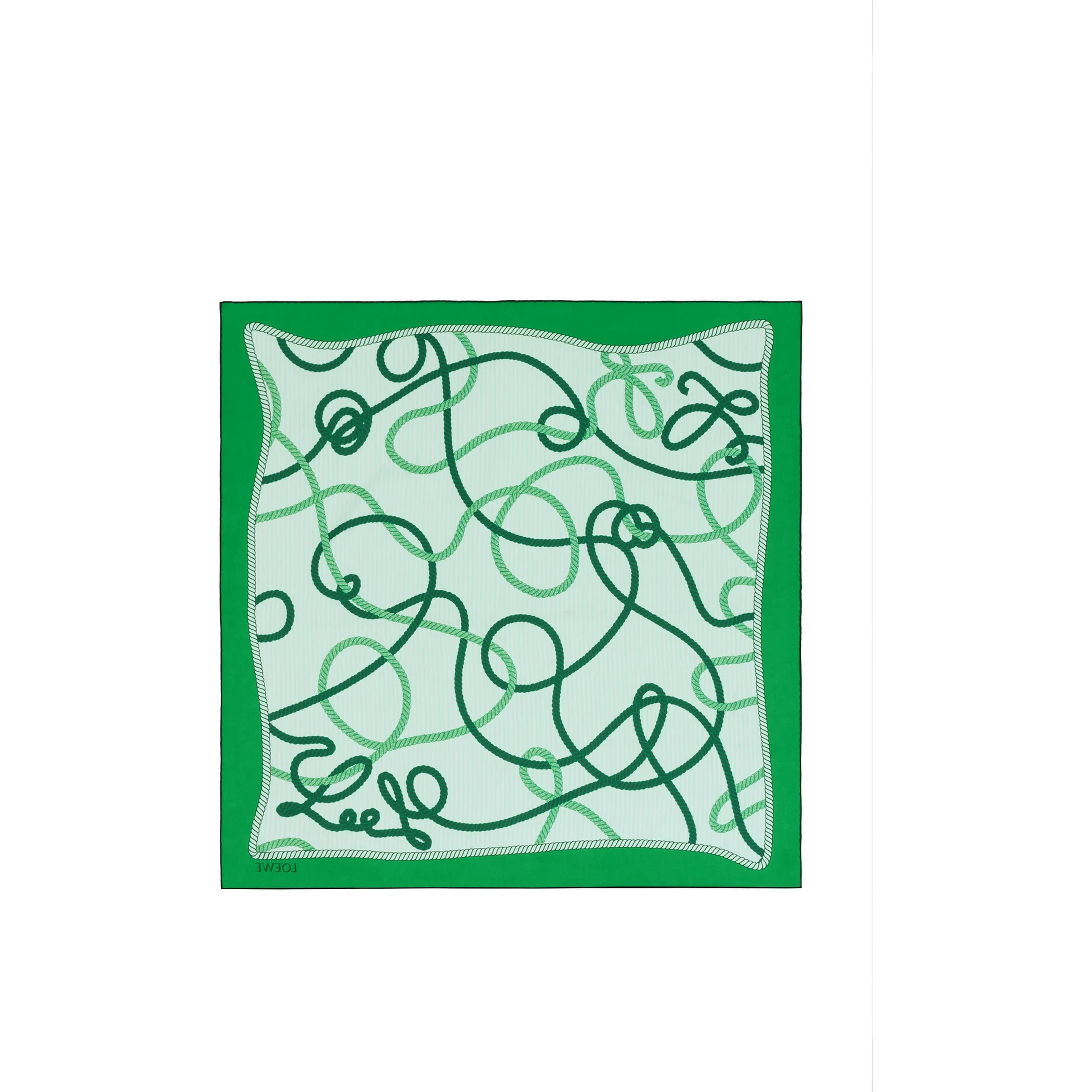 Loewe Scarfs Navy/green