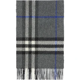 Burberry Scarfs