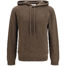 Brown Wool Oves Aries Hoodie