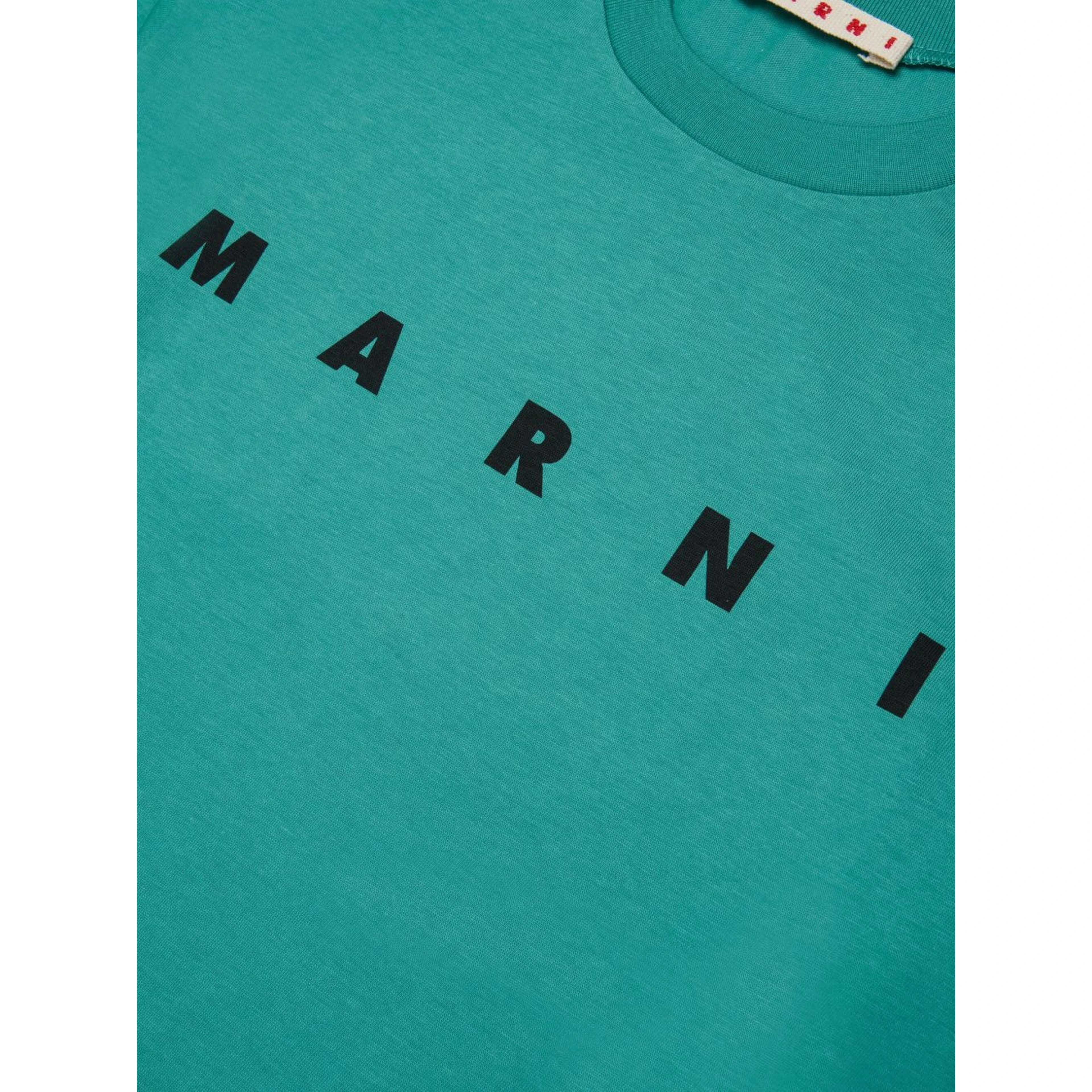 Marni T-shirts and Polos