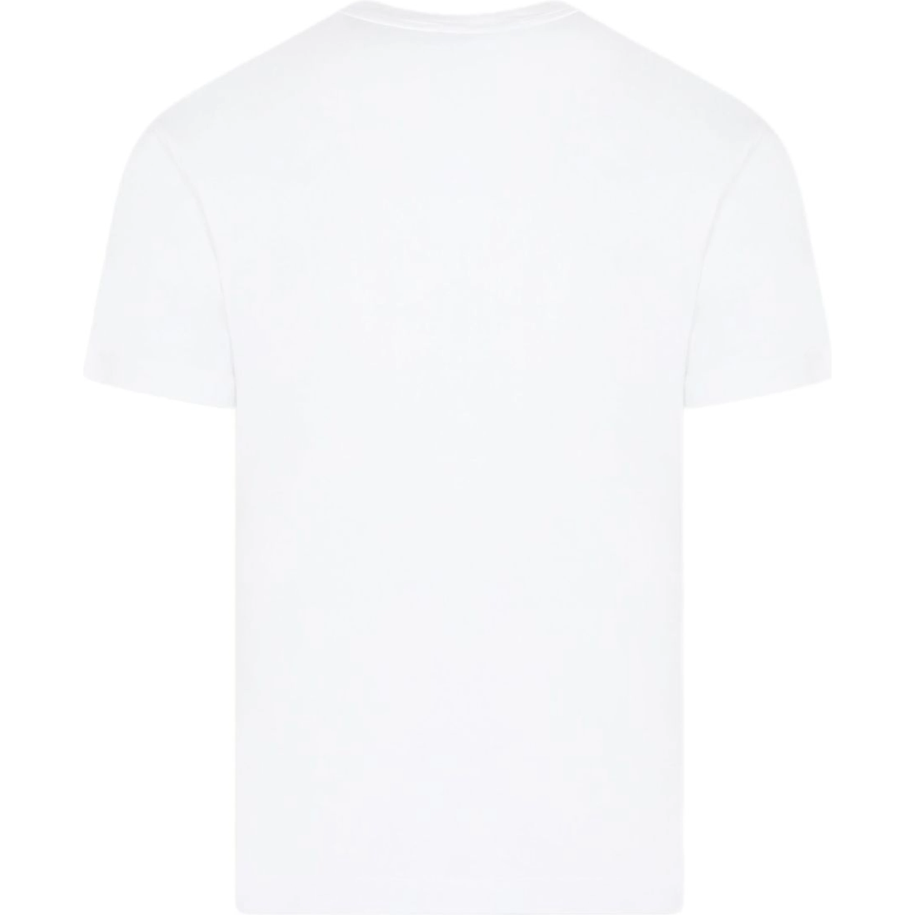 Stone Island T-shirts and Polos