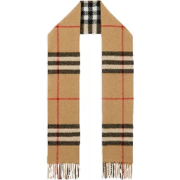 Burberry Scarfs
