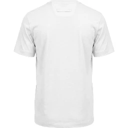 ZEGNA T-shirts and Polos