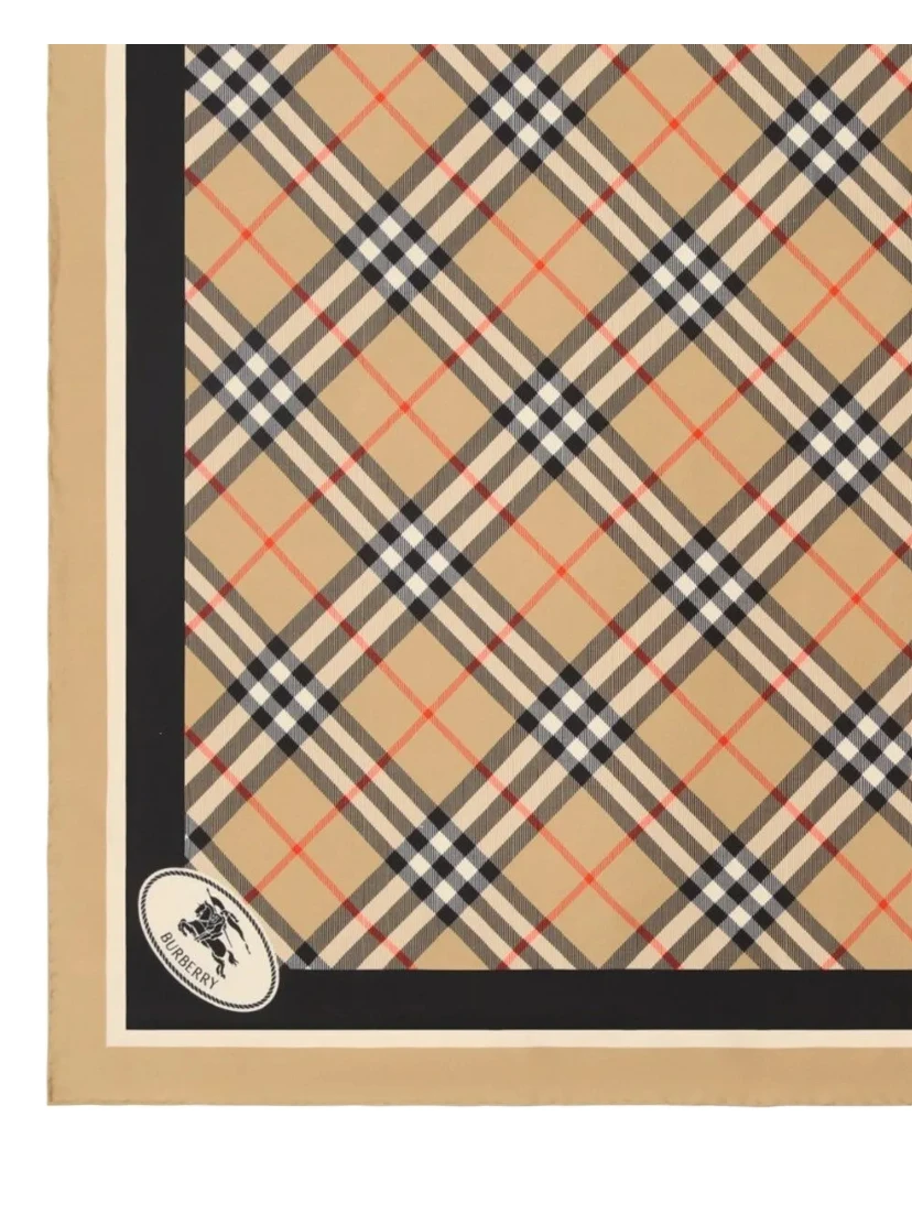 Burberry Scarfs