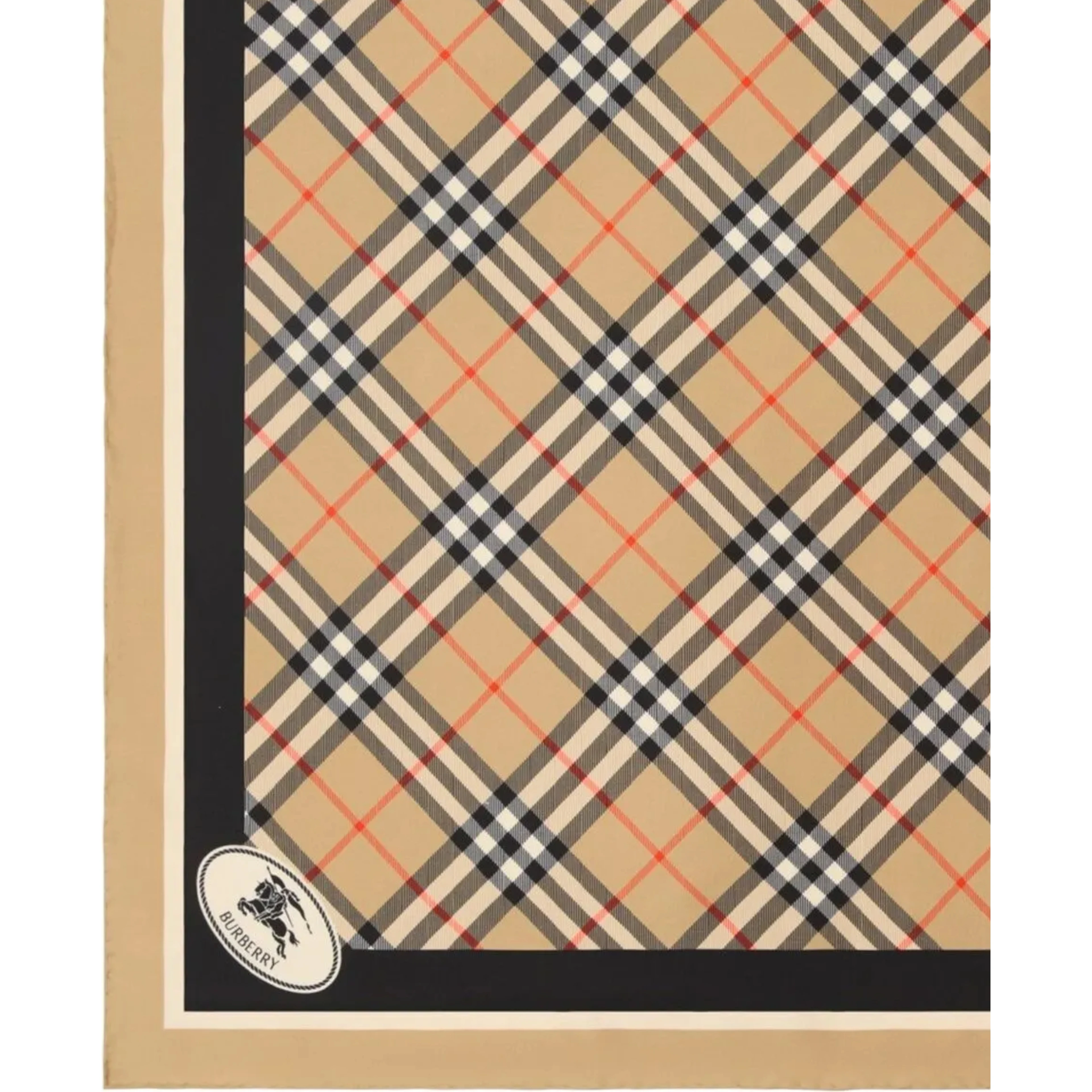 Burberry Scarfs