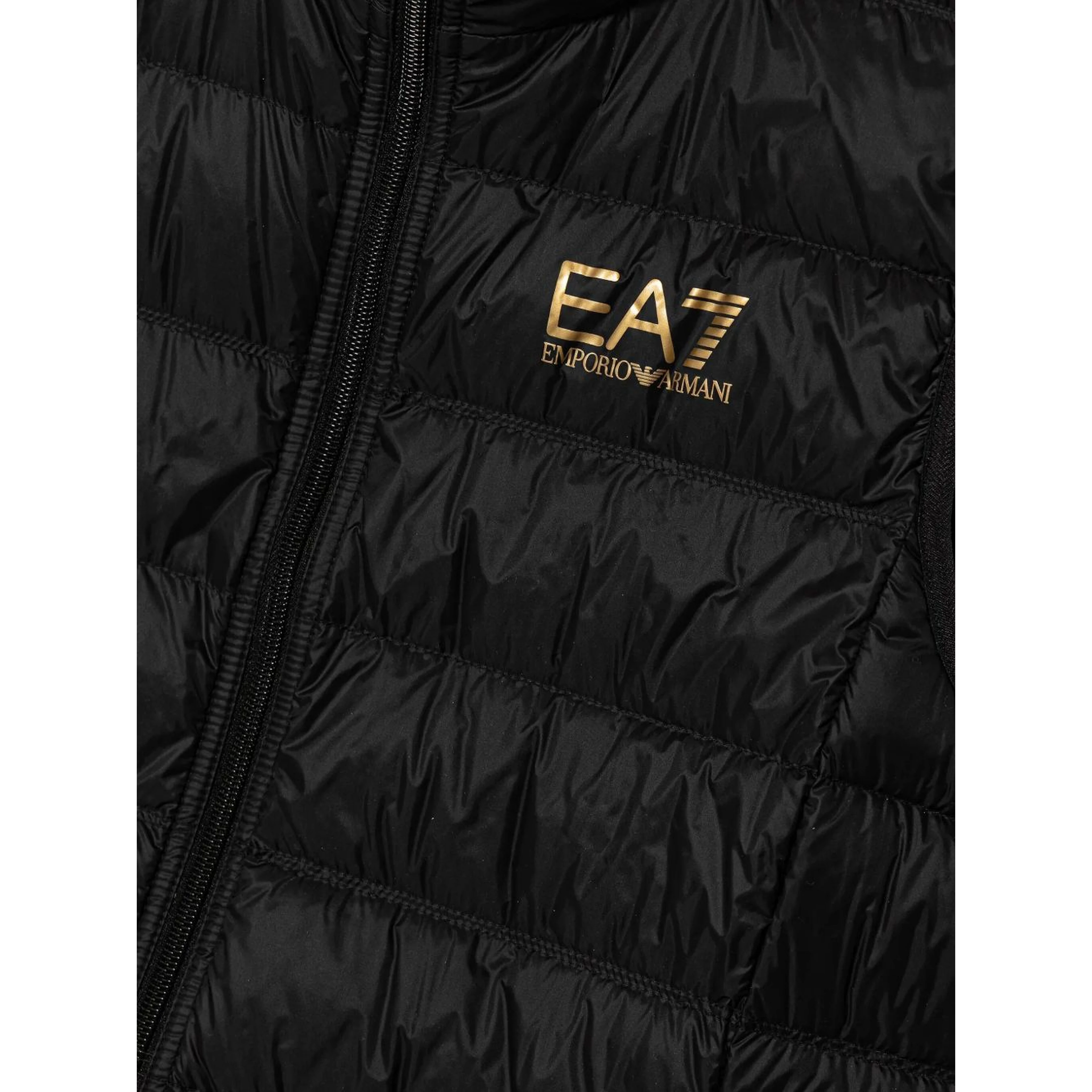 EA7 Jackets Black/ Gold