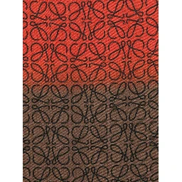 Loewe Scarfs Multicolor